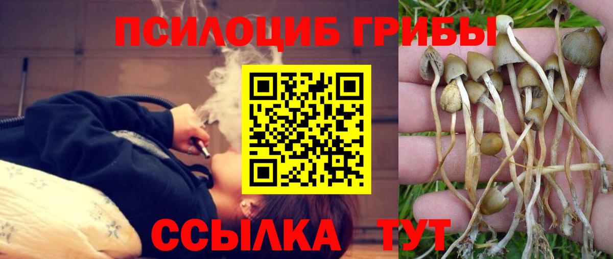 Псилоцибиновые грибы прущие грибы  Вход с VPN  Белорецк 